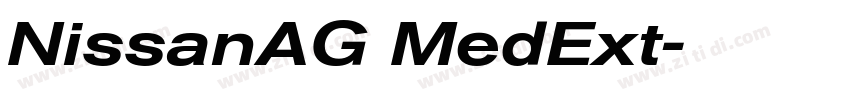 NissanAG MedExt字体转换